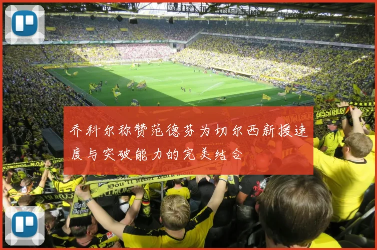 乔科尔称赞范德芬为切尔西新援速度与突破能力的完美结合